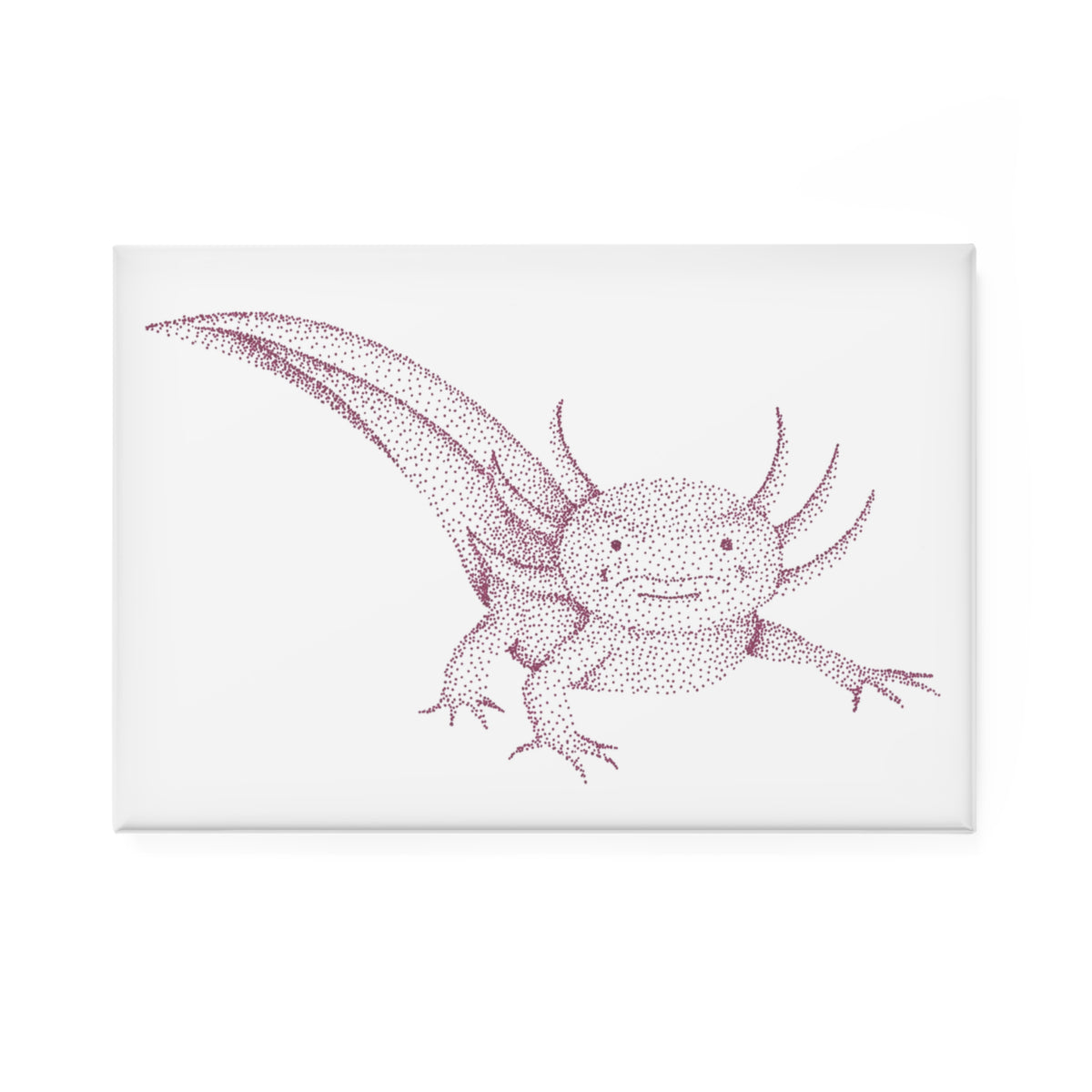 Magnet, Rectangle - Axolotl