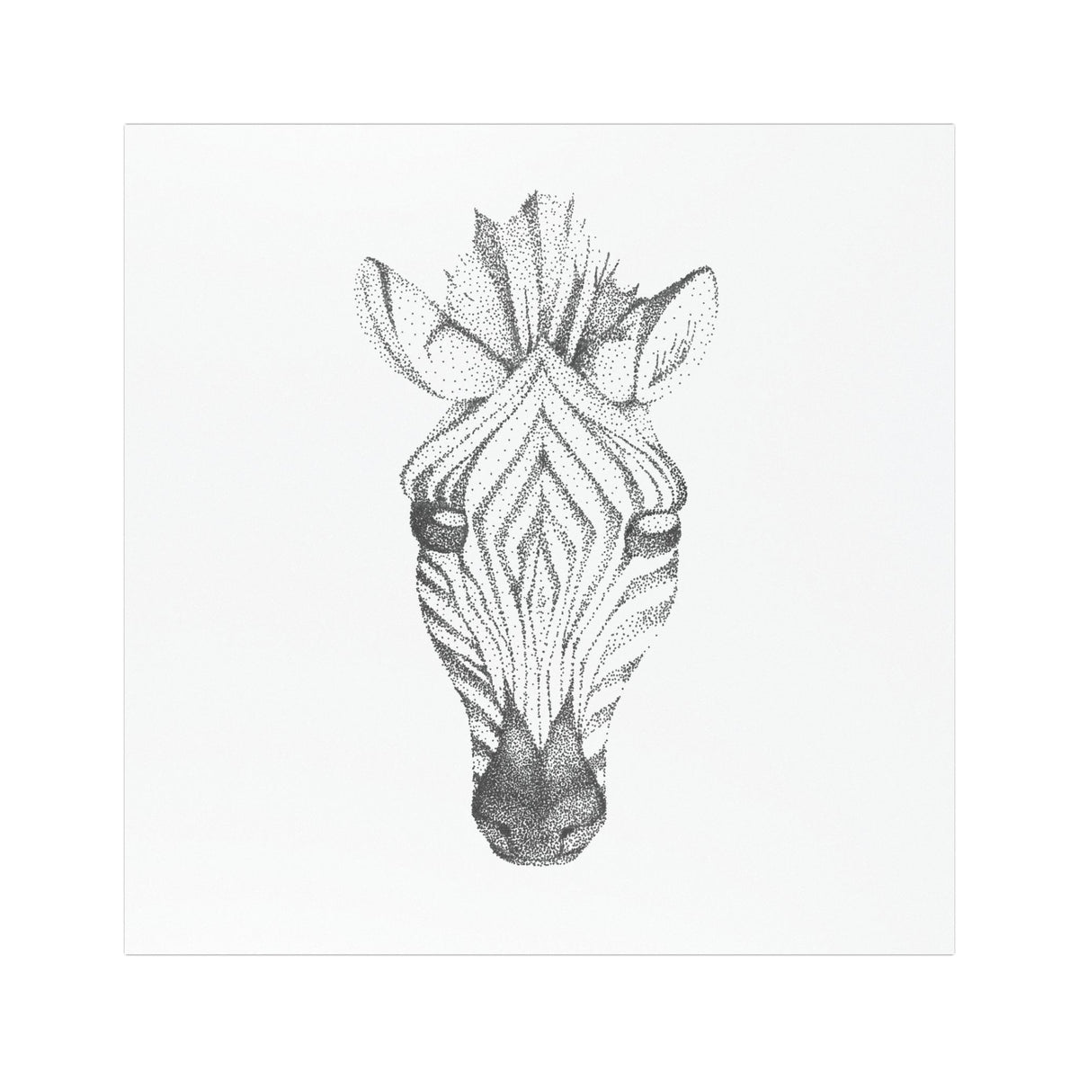 Zebra Sketch Car Magnet – Minimal Black & White Animal Decal