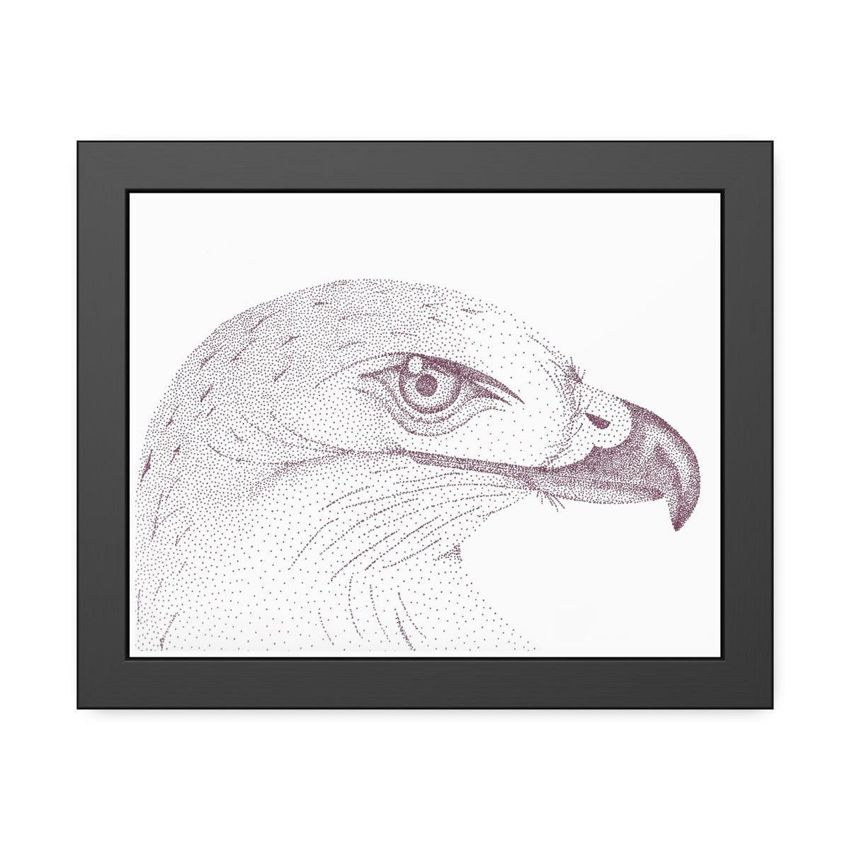 Framed Paper Posters - Hawk