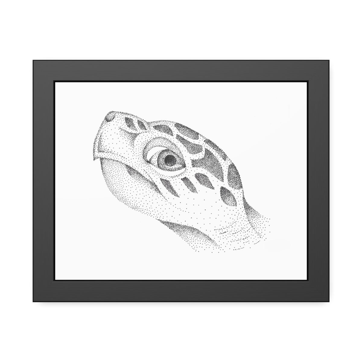 Framed Paper Posters - Sea Turtle