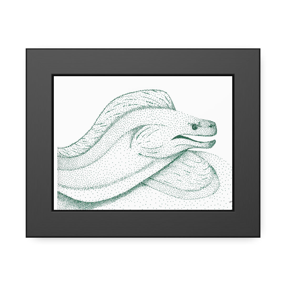 Framed Paper Posters - Moray Eel
