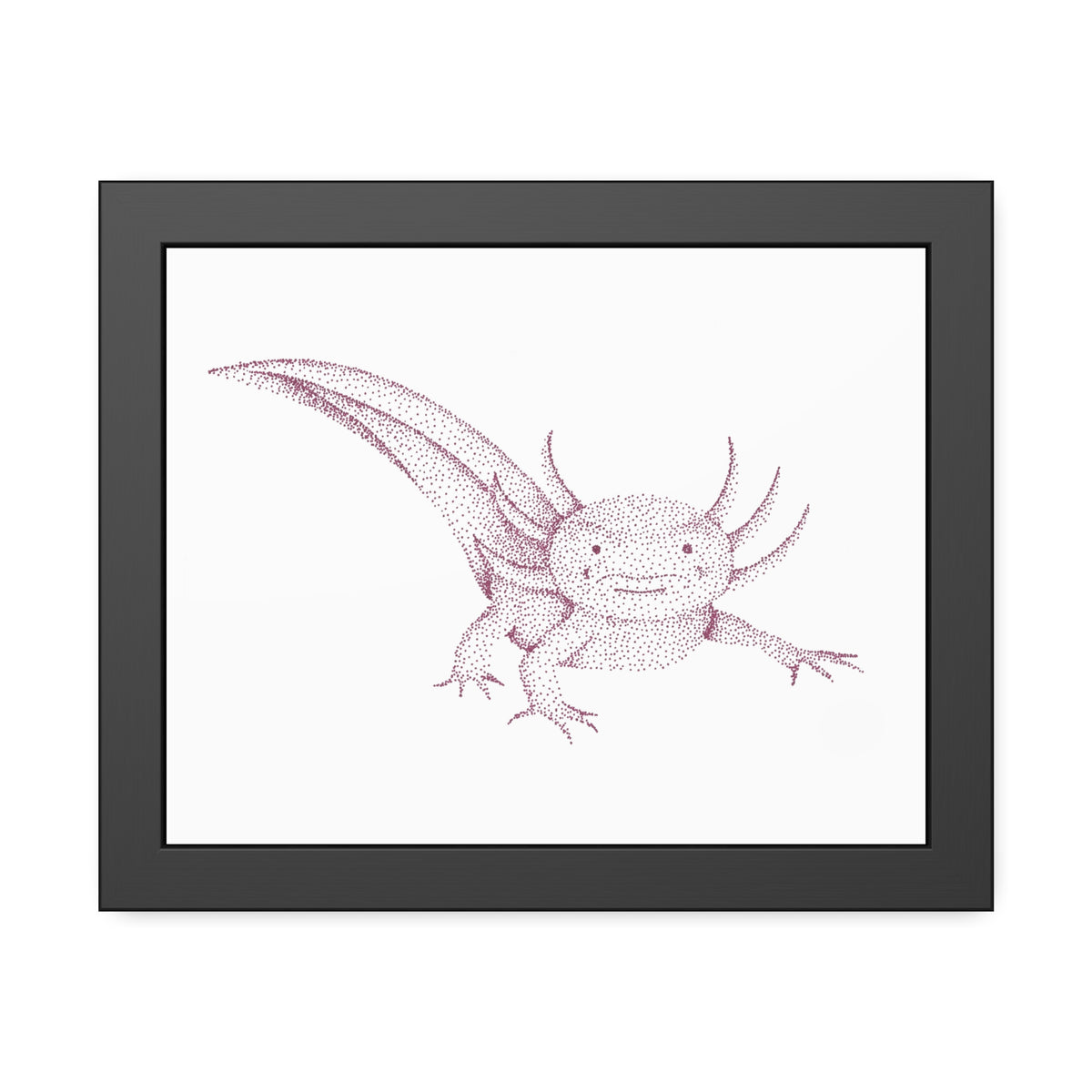Framed Paper Posters - Axolotl
