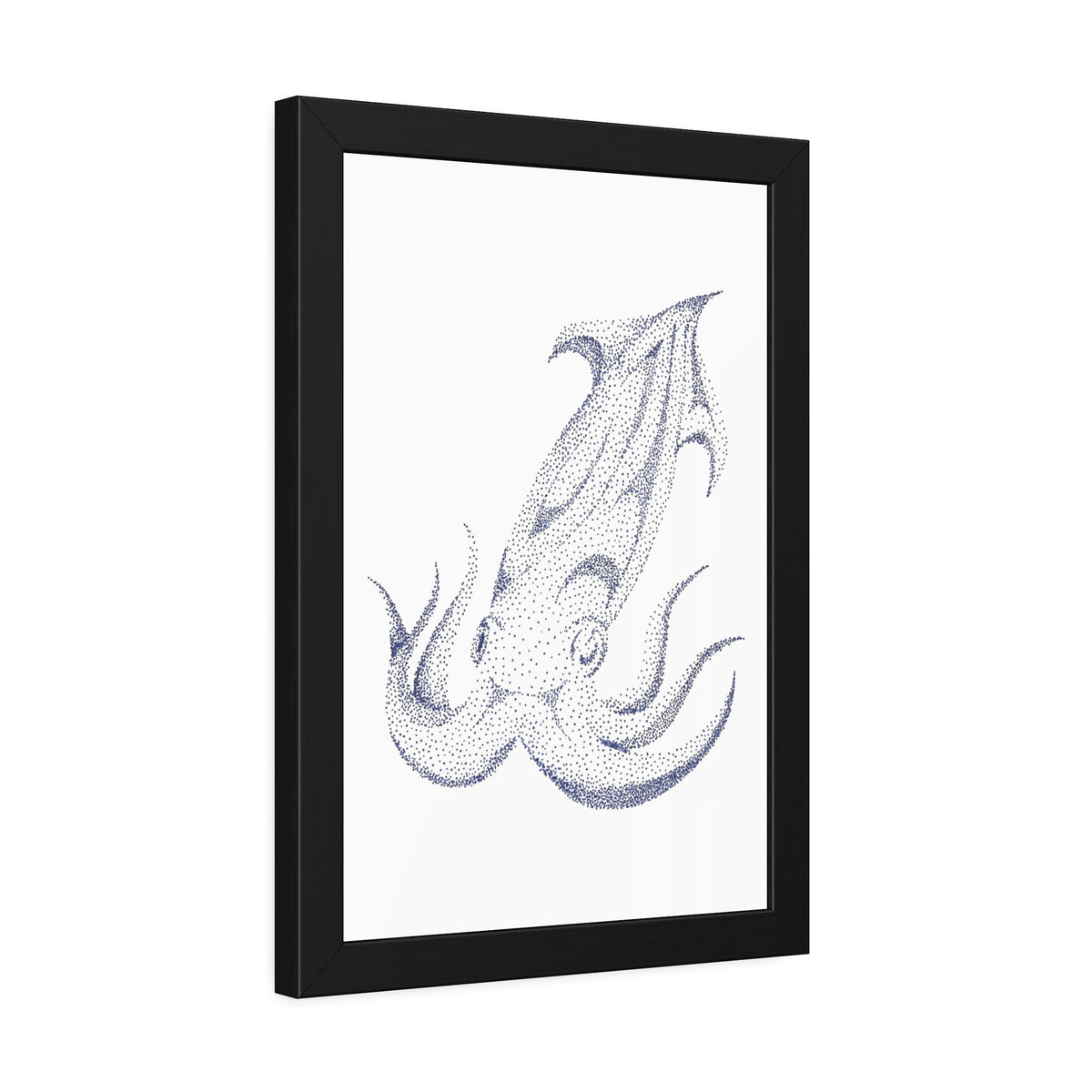 Framed Paper Posters - Squid