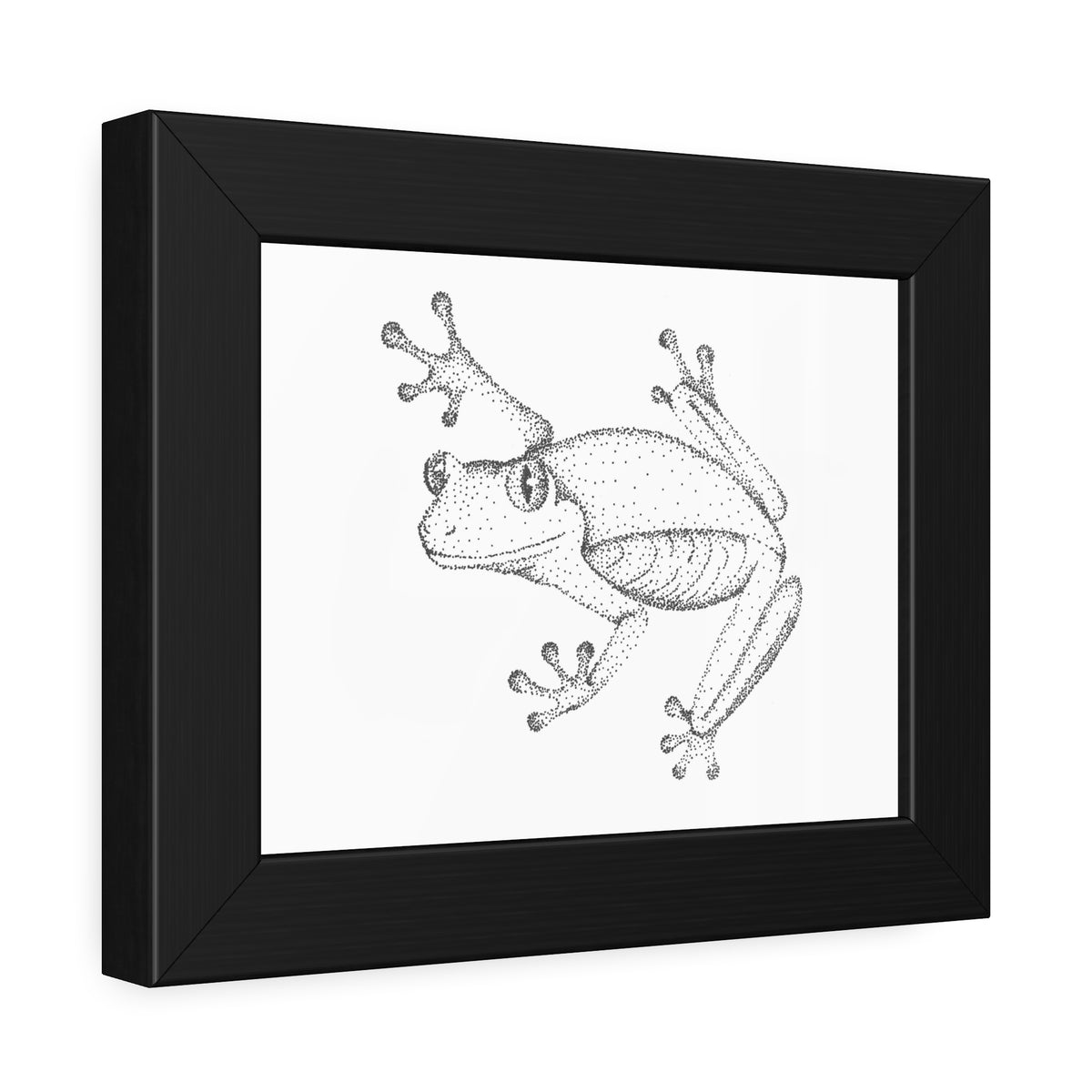 Framed Paper Posters - Tree Frog