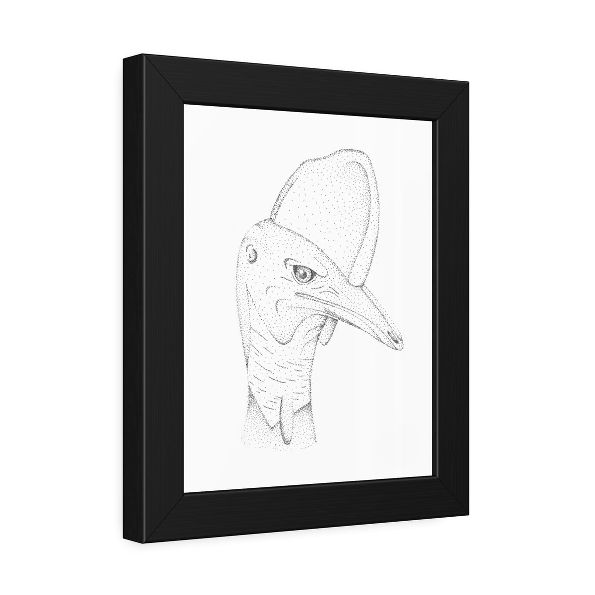 Framed Paper Posters - Cassowary