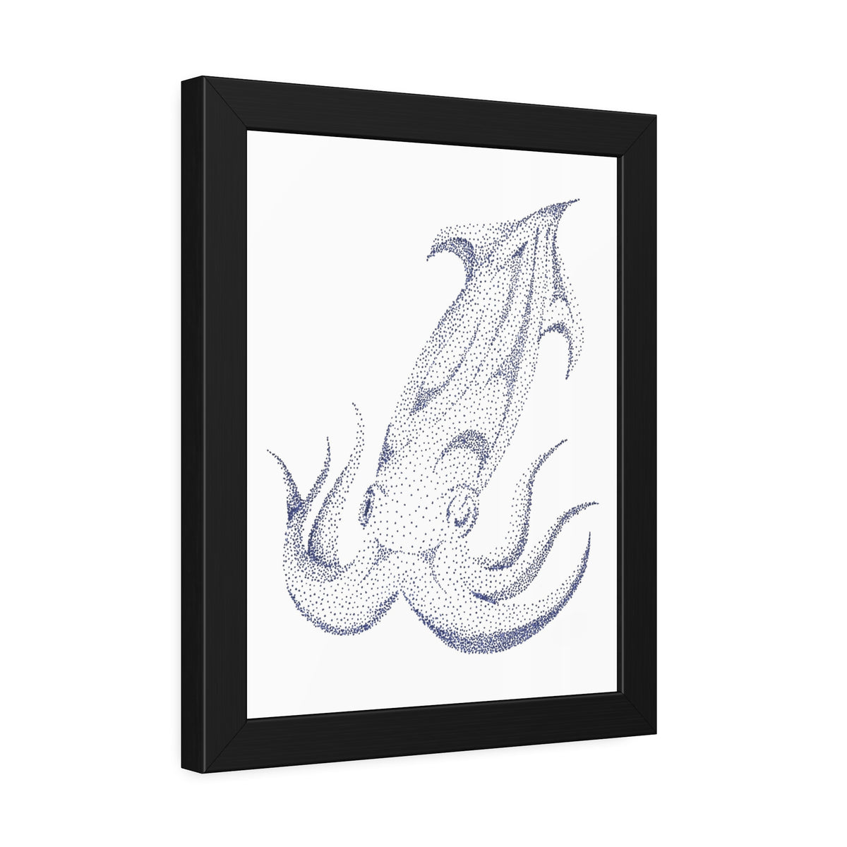 Framed Paper Posters - Squid