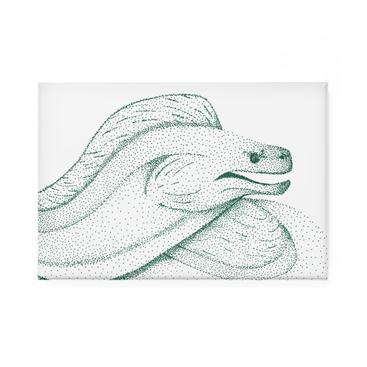 Magnet, Rectangle - Moray Eel