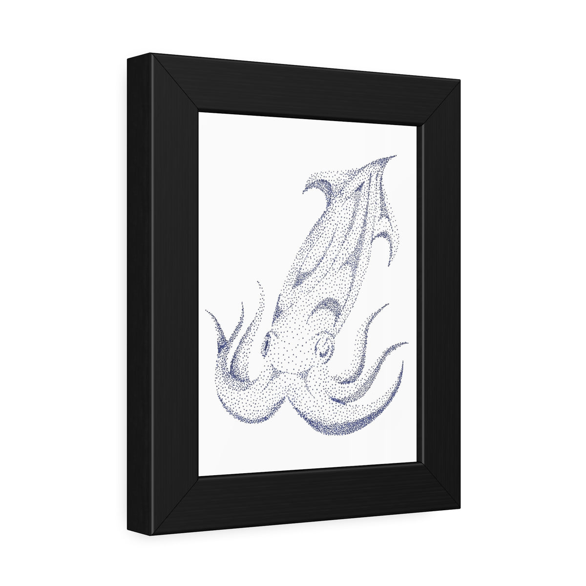 Framed Paper Posters - Squid