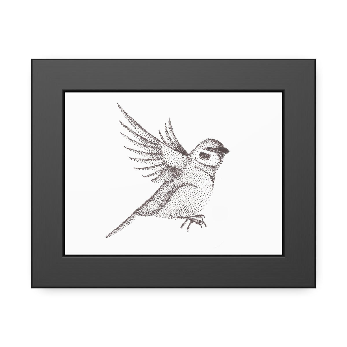 Framed Paper Posters - Sparrow