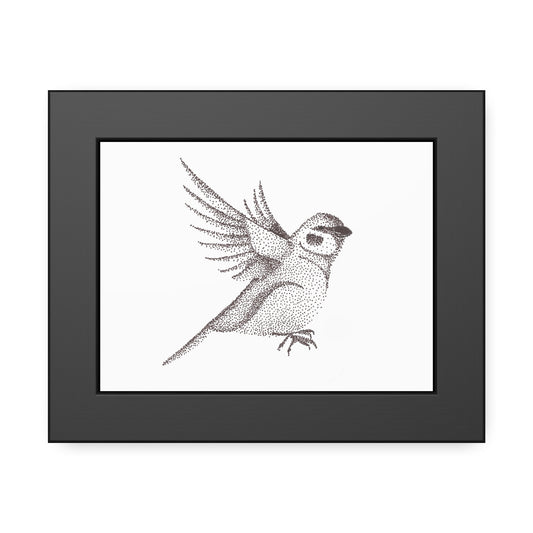 Framed Paper Posters - Sparrow