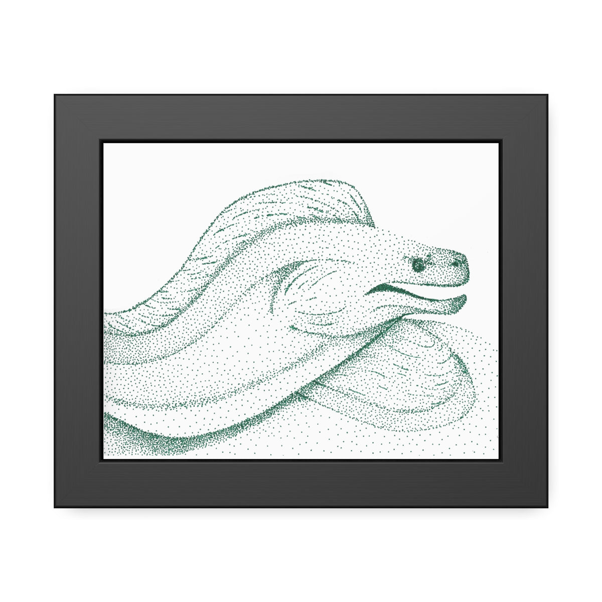 Framed Paper Posters - Moray Eel
