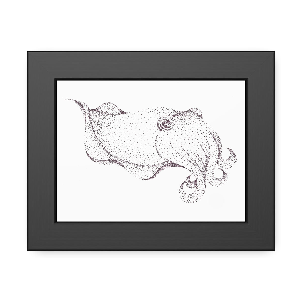 Framed Paper Posters - Cuttlefish