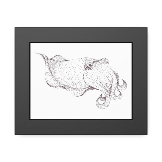 Framed Paper Posters - Cuttlefish
