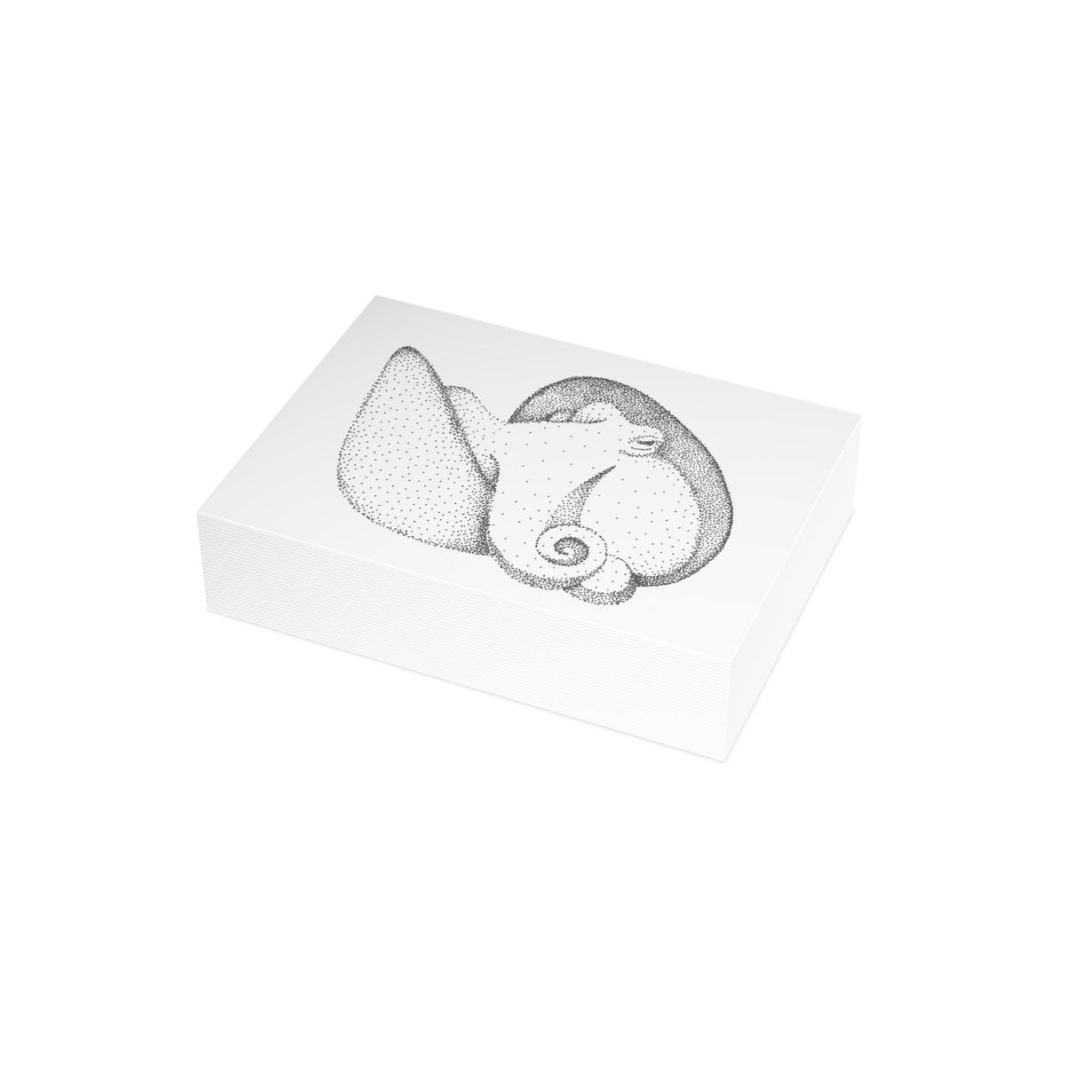 Postcard Bundle with Envelopes - Shelled Octopus