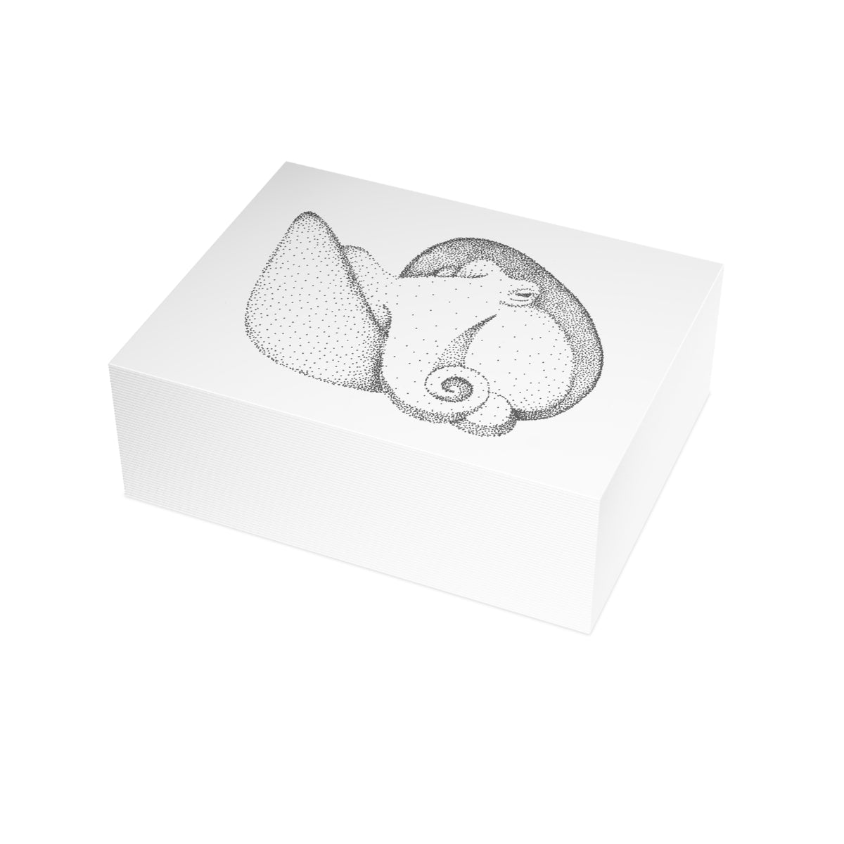 Postcard Bundle with Envelopes - Shelled Octopus