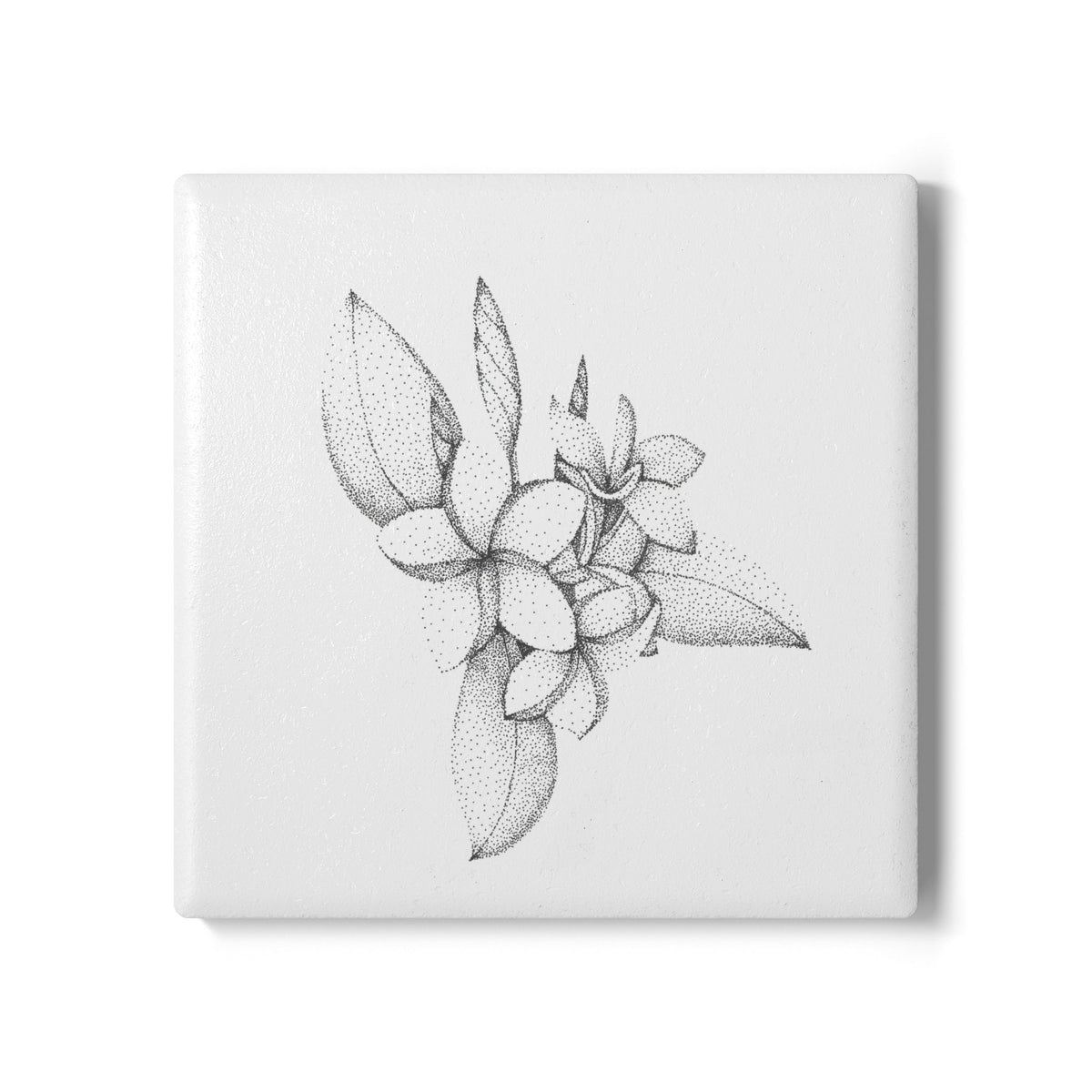 Ceramic Drink Coaster Set – Floral Plumeria