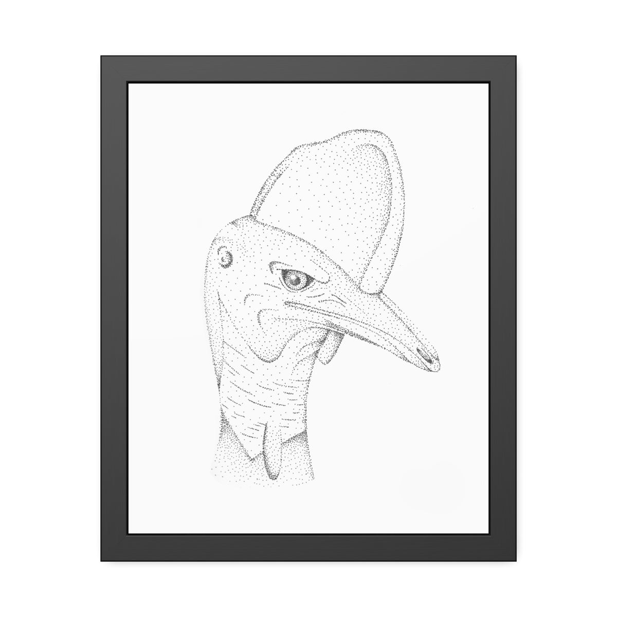 Framed Paper Posters - Cassowary