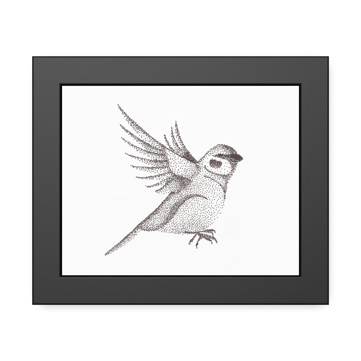 Framed Paper Posters - Sparrow