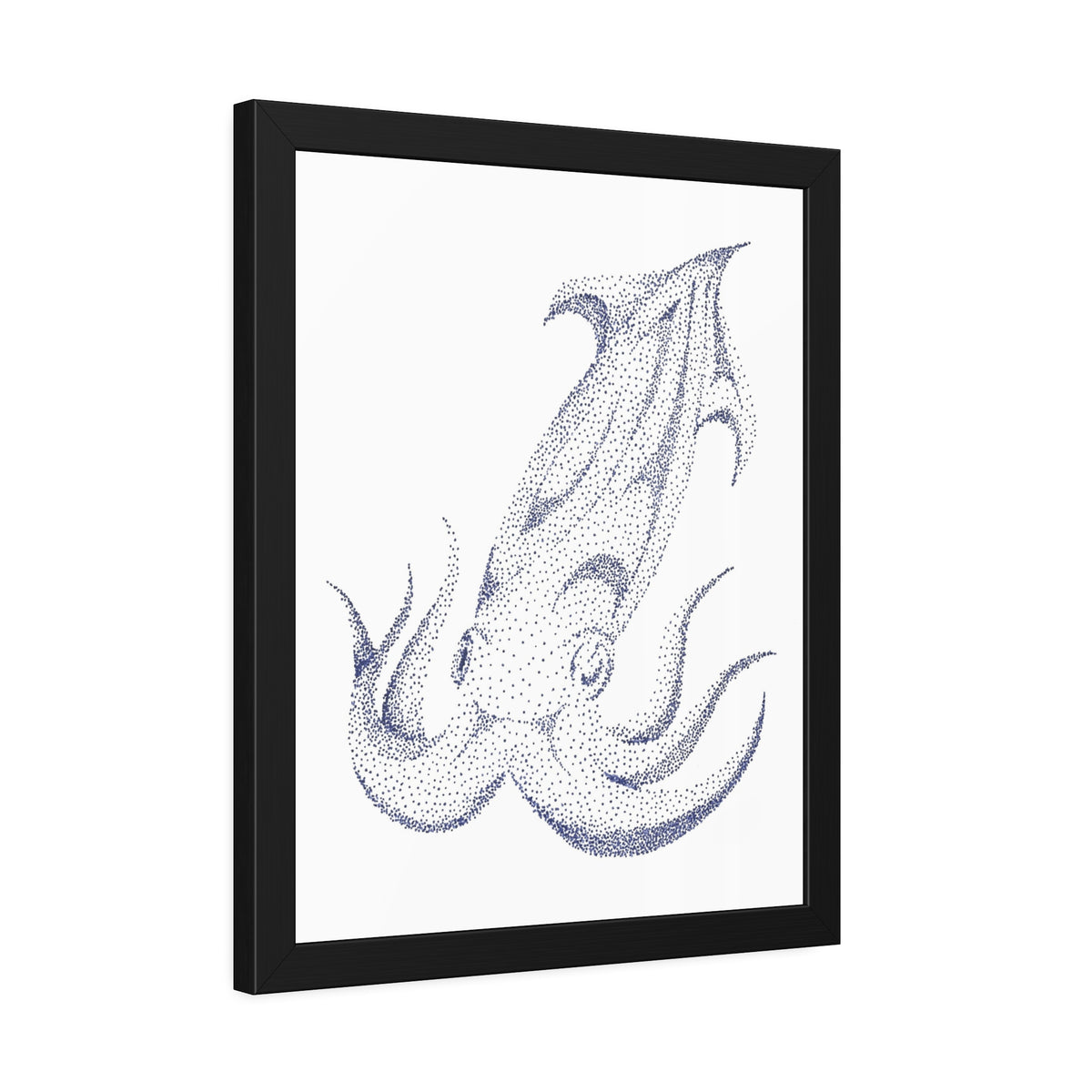 Framed Paper Posters - Squid