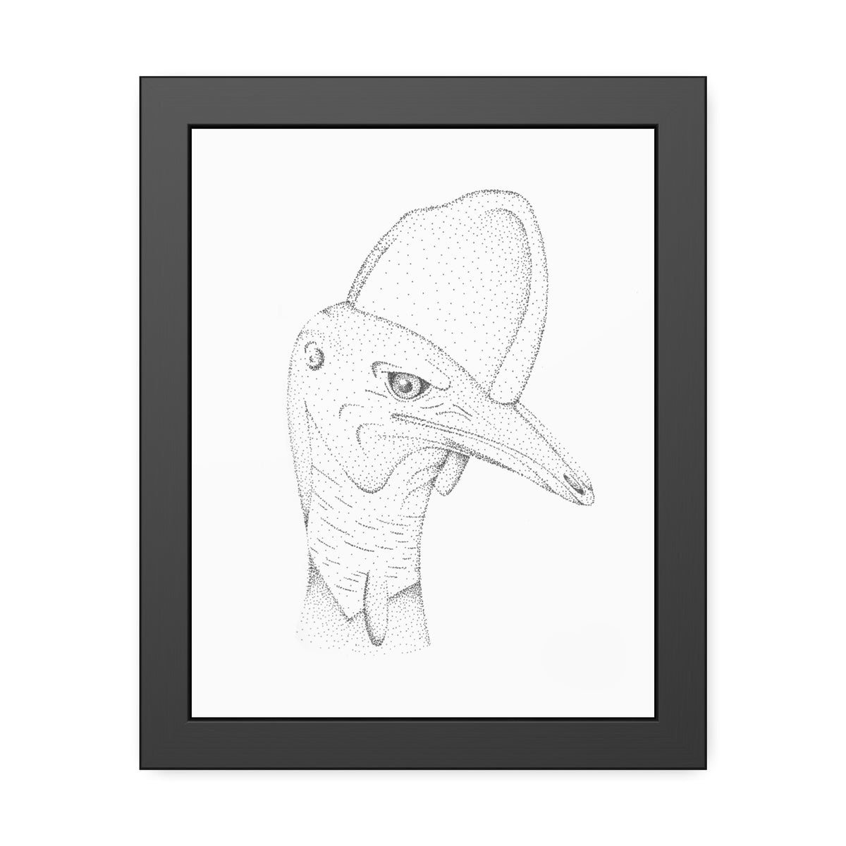 Framed Paper Posters - Cassowary