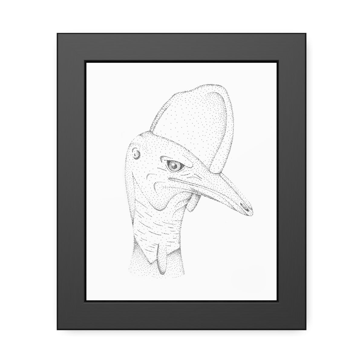 Framed Paper Posters - Cassowary