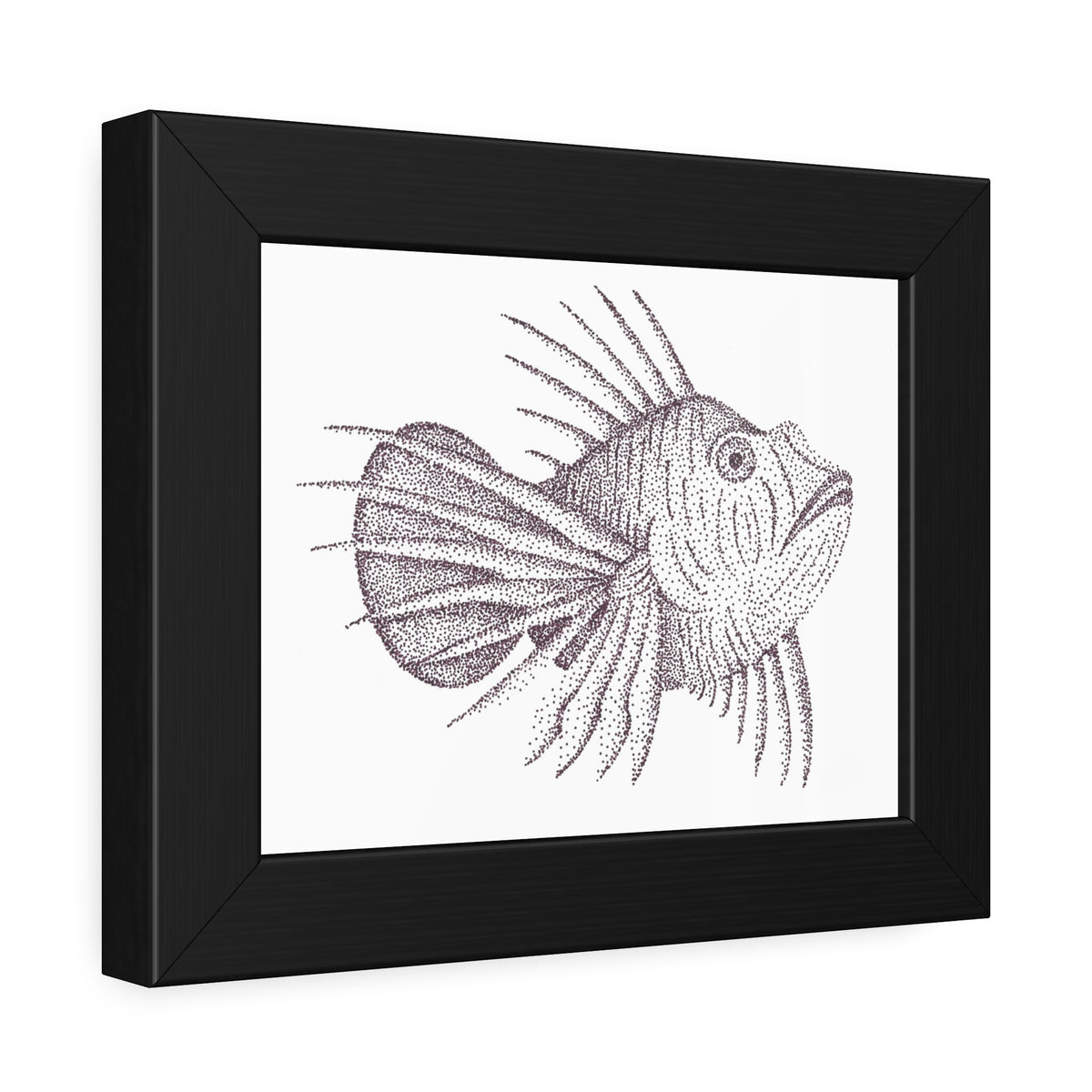 Framed Paper Posters - Lionfish