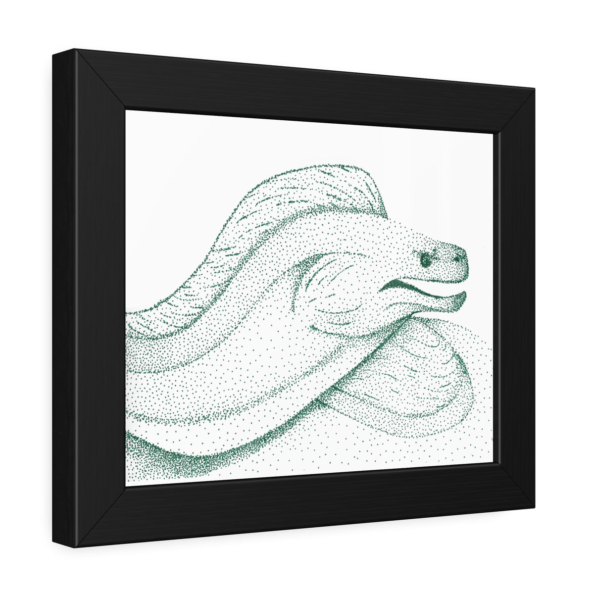 Framed Paper Posters - Moray Eel