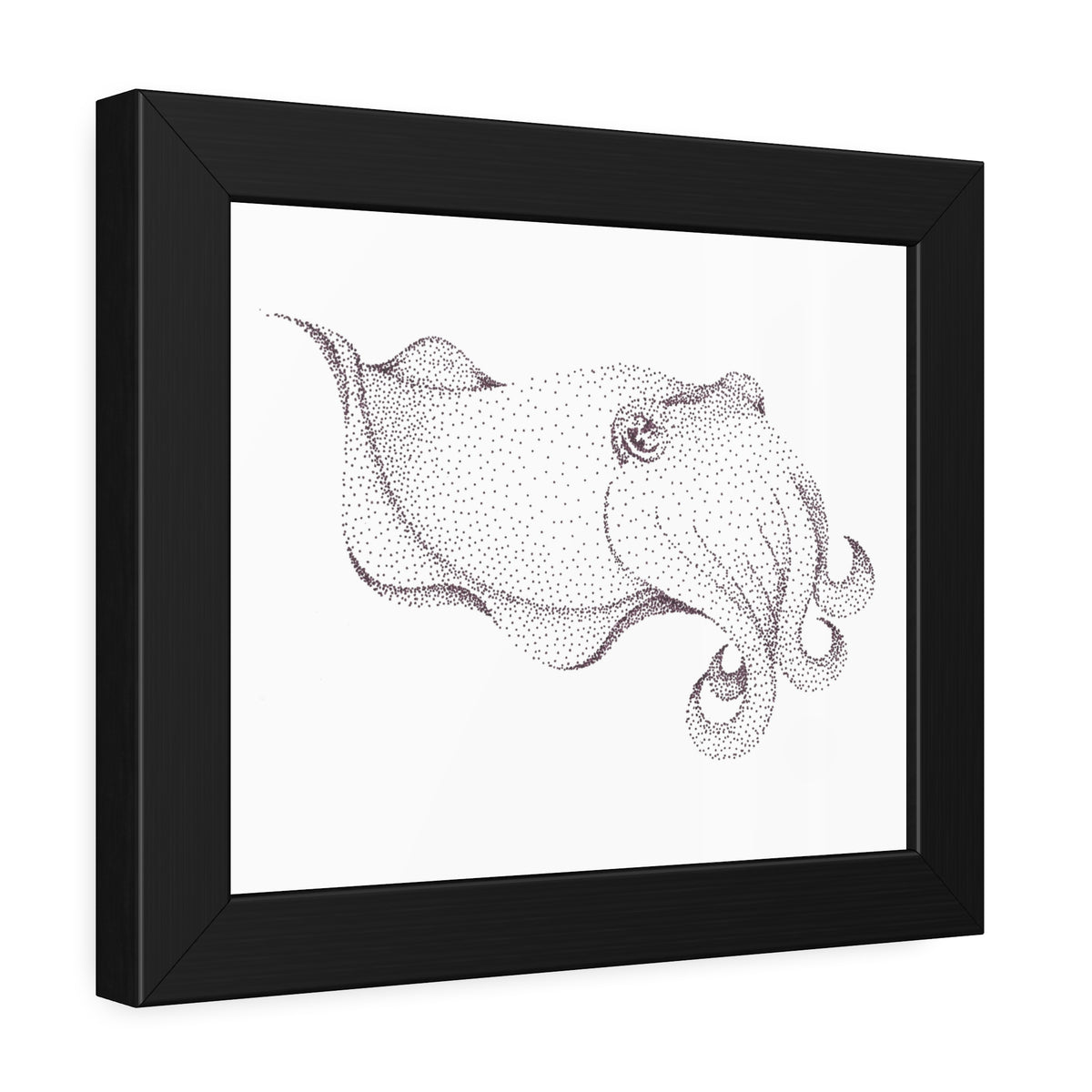 Framed Paper Posters - Cuttlefish