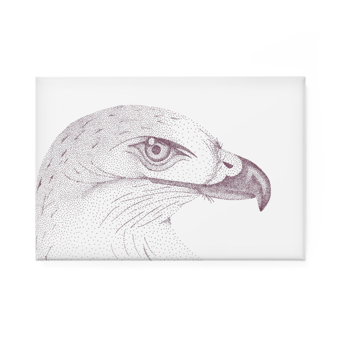Magnet, Rectangle - Hawk