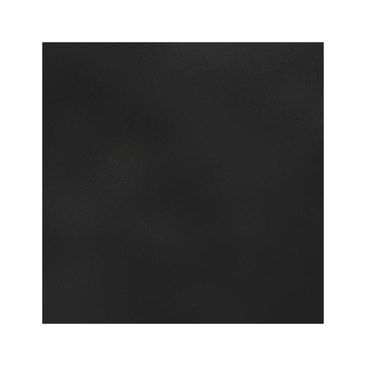 Zebra Sketch Car Magnet – Minimal Black & White Animal Decal