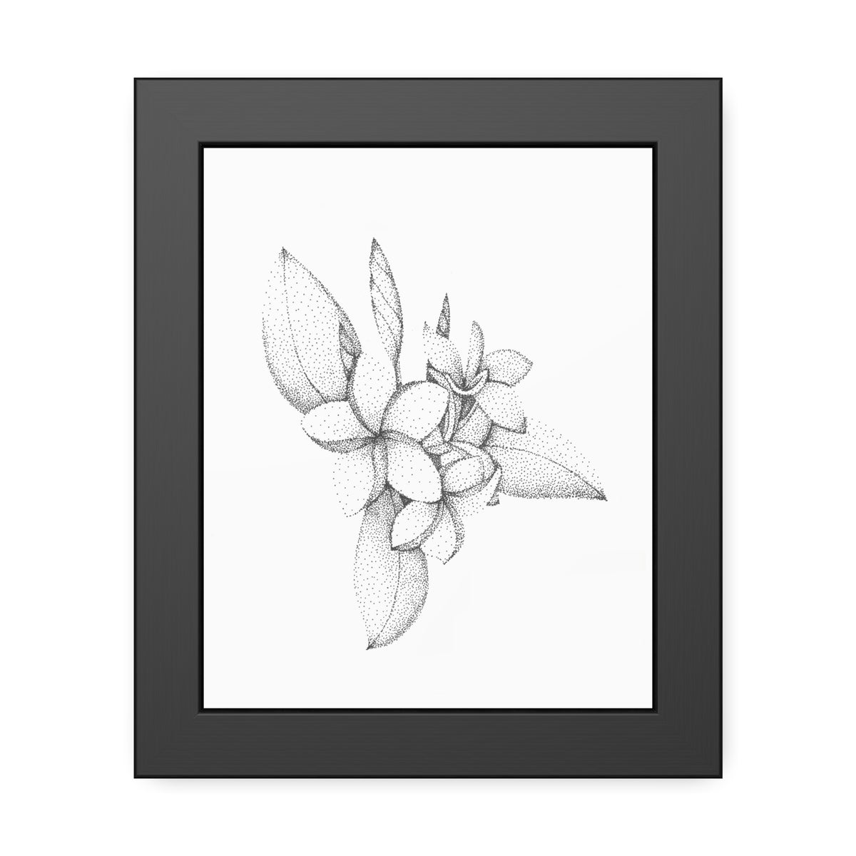 Framed Paper Posters - Plumeria
