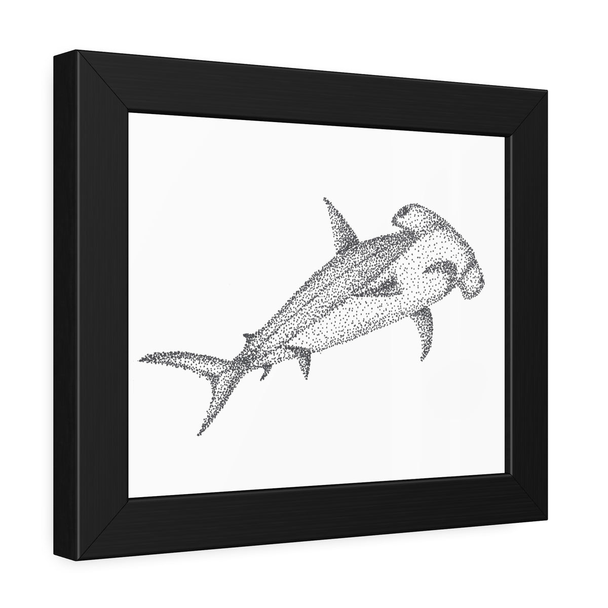 Framed Paper Posters - Hammerhead