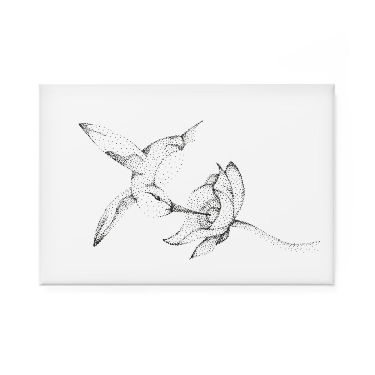 Magnet, Rectangle - Hummingbird