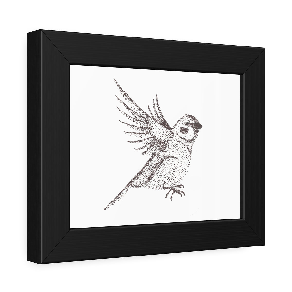 Framed Paper Posters - Sparrow
