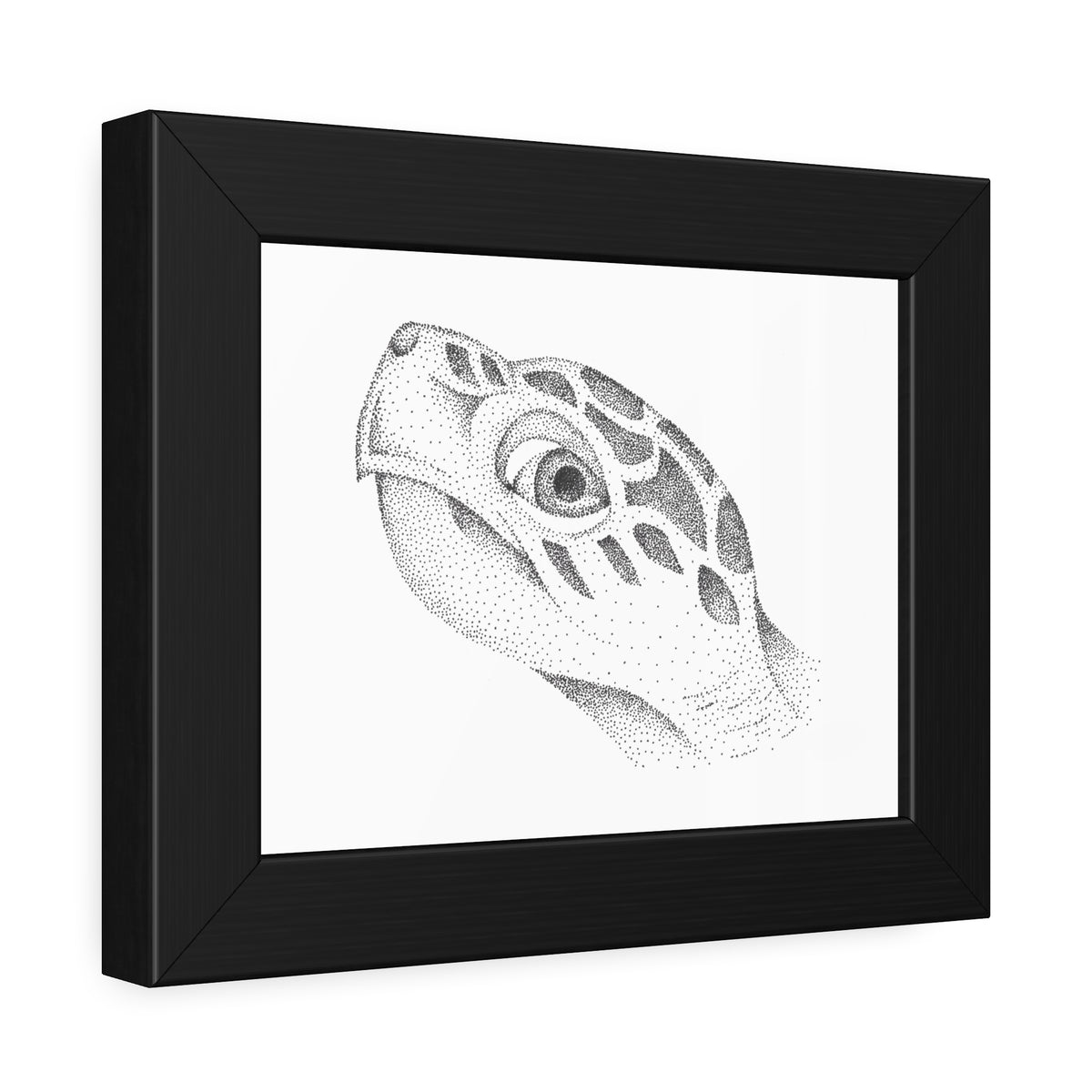 Framed Paper Posters - Sea Turtle