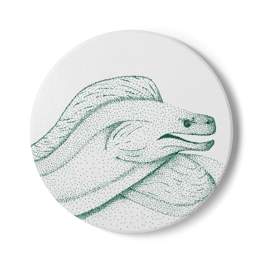 Ceramic Drink Coaster Set — Hand-Drawn Moray Eel