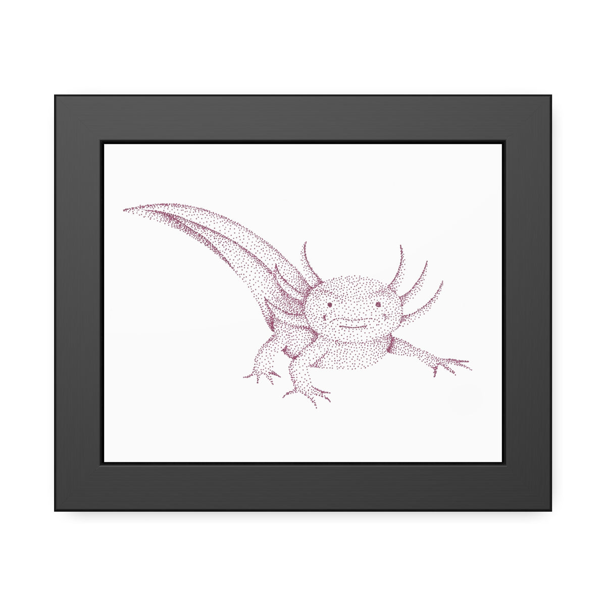 Framed Paper Posters - Axolotl