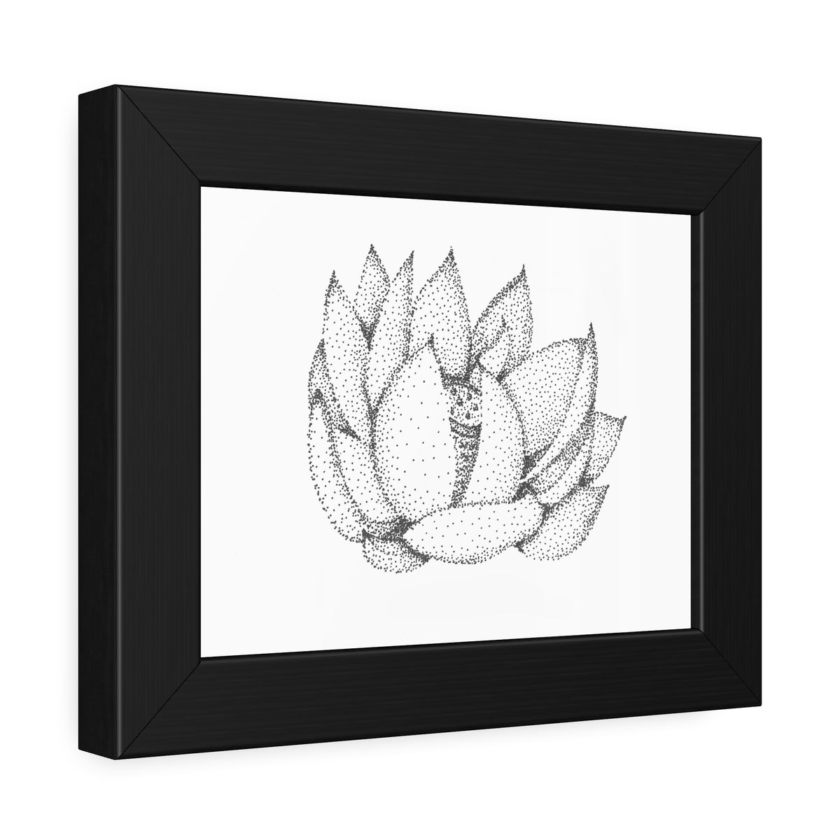 Framed Paper Poster - Lotus