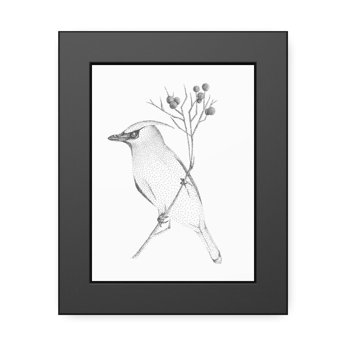 Framed Paper Posters - Waxwing