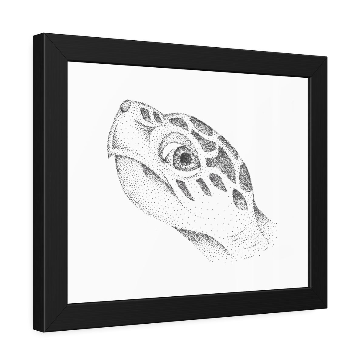 Framed Paper Posters - Sea Turtle