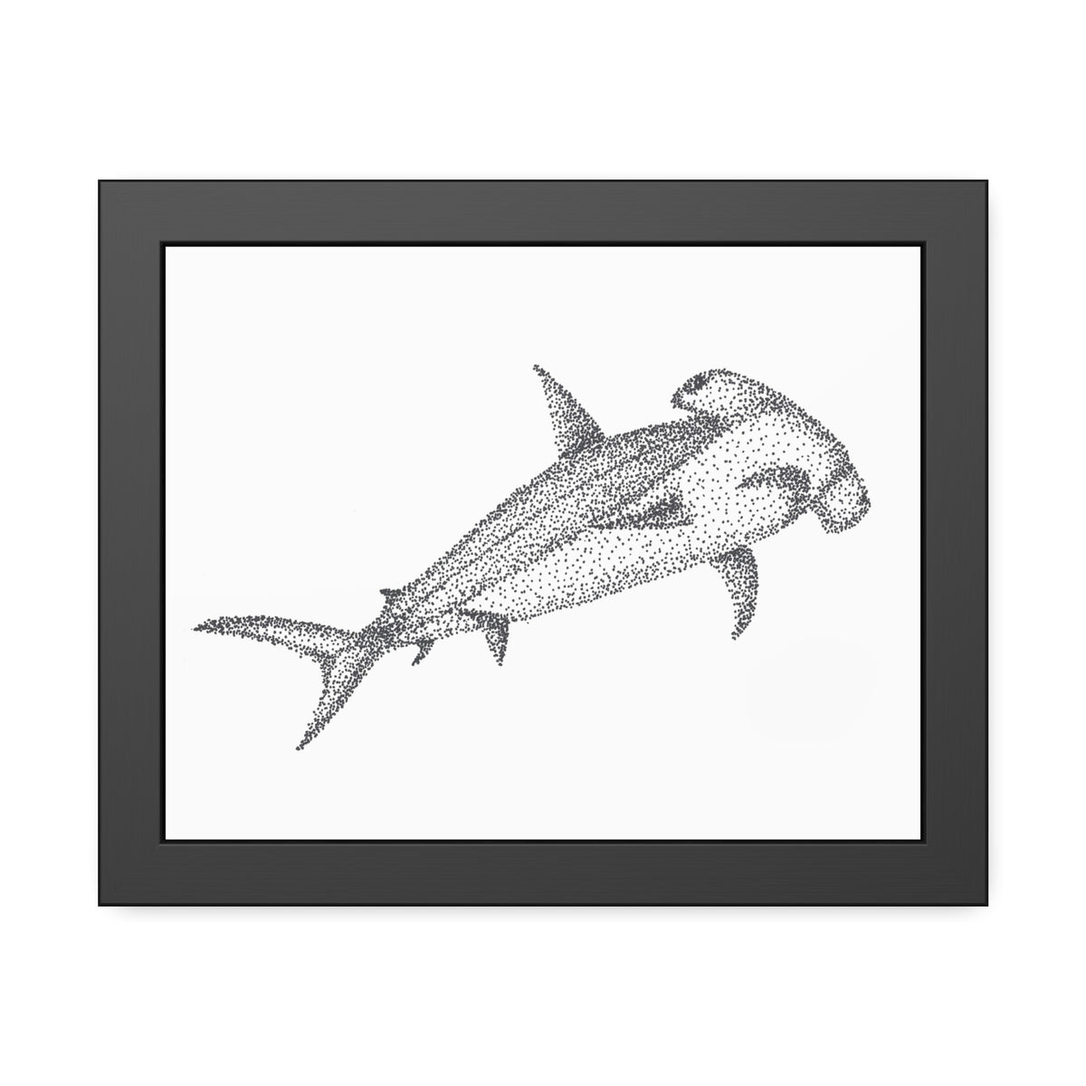 Framed Paper Posters - Hammerhead