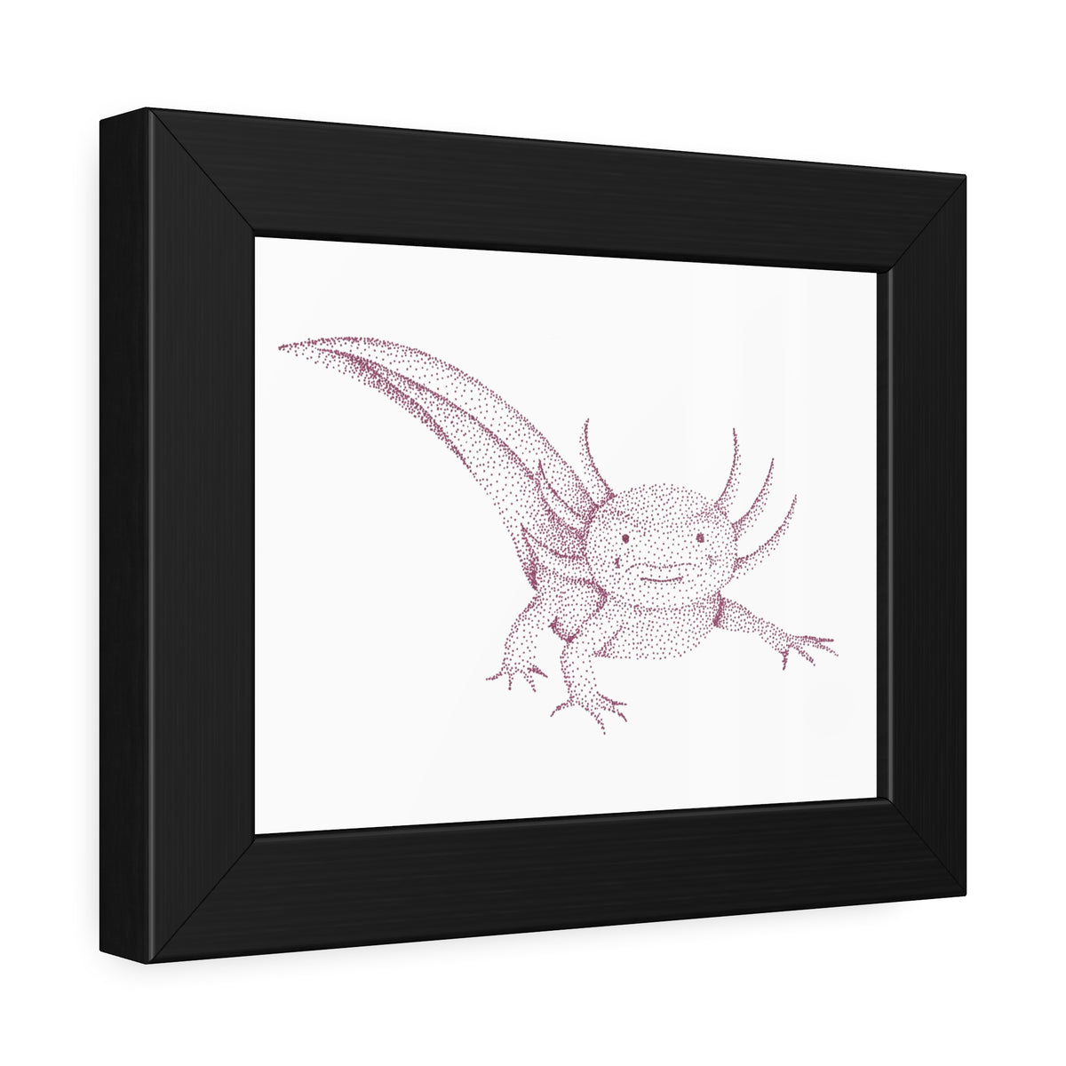Framed Paper Posters - Axolotl