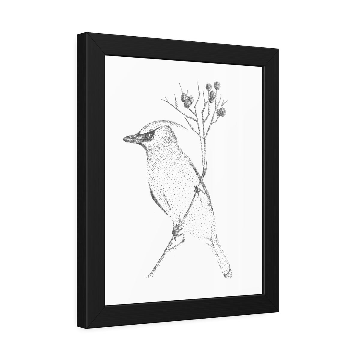 Framed Paper Posters - Waxwing