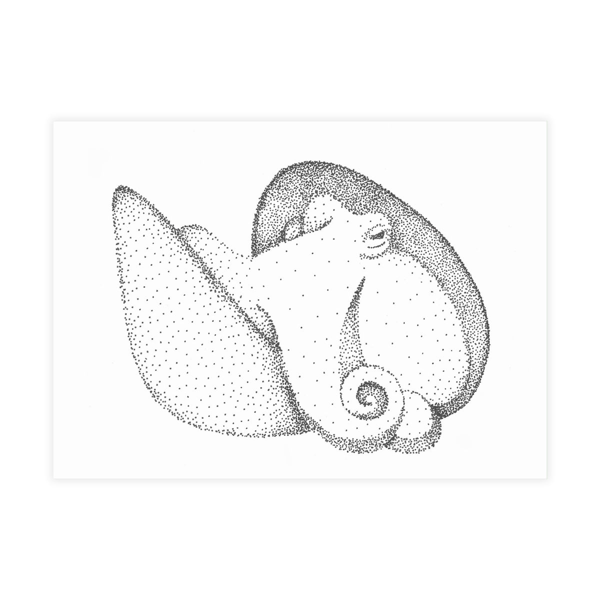 Postcard Bundle with Envelopes - Shelled Octopus