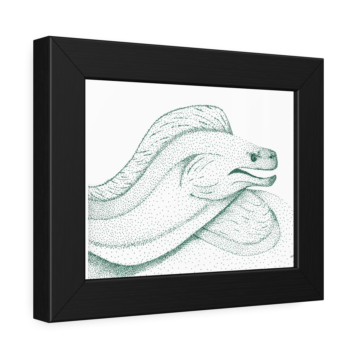 Framed Paper Posters - Moray Eel