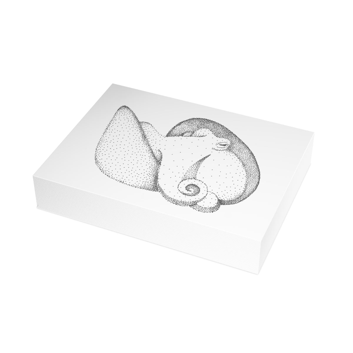Postcard Bundle with Envelopes - Shelled Octopus