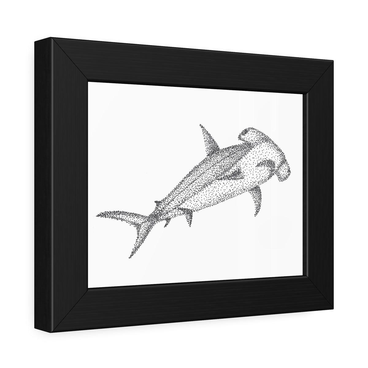 Framed Paper Posters - Hammerhead