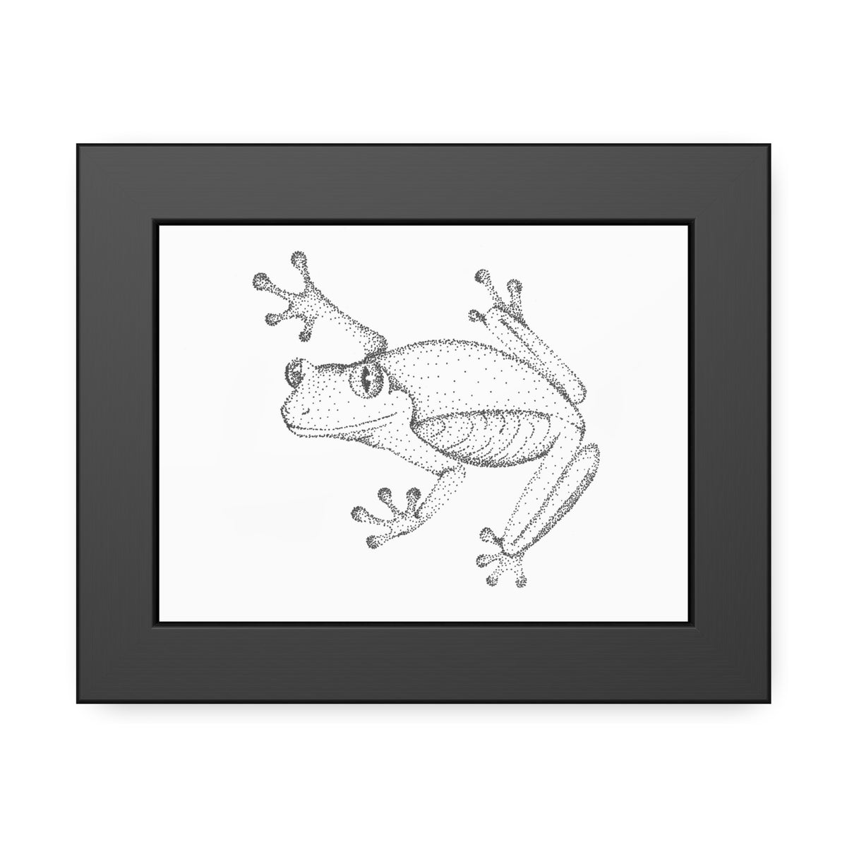 Framed Paper Posters - Tree Frog