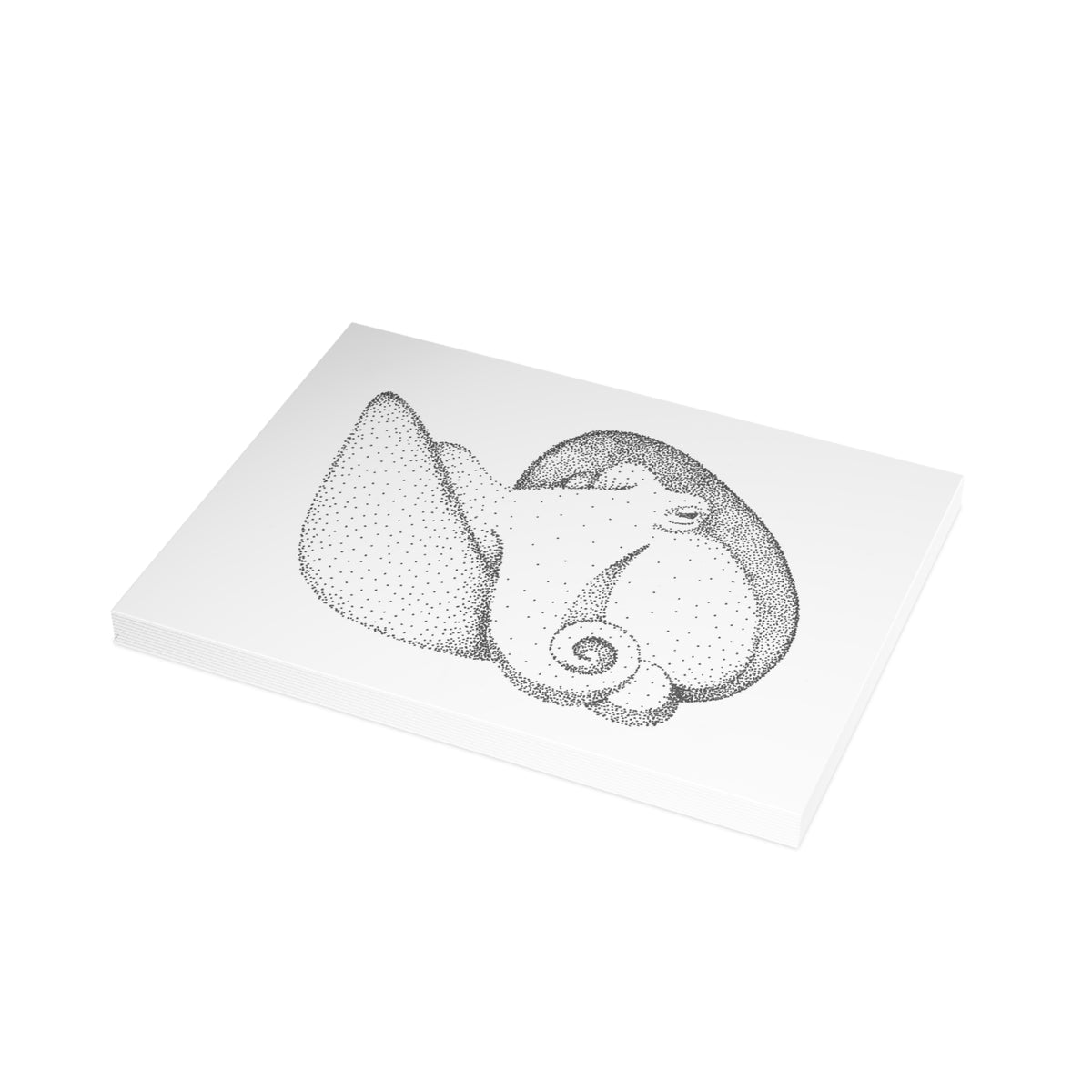 Postcard Bundle with Envelopes - Shelled Octopus