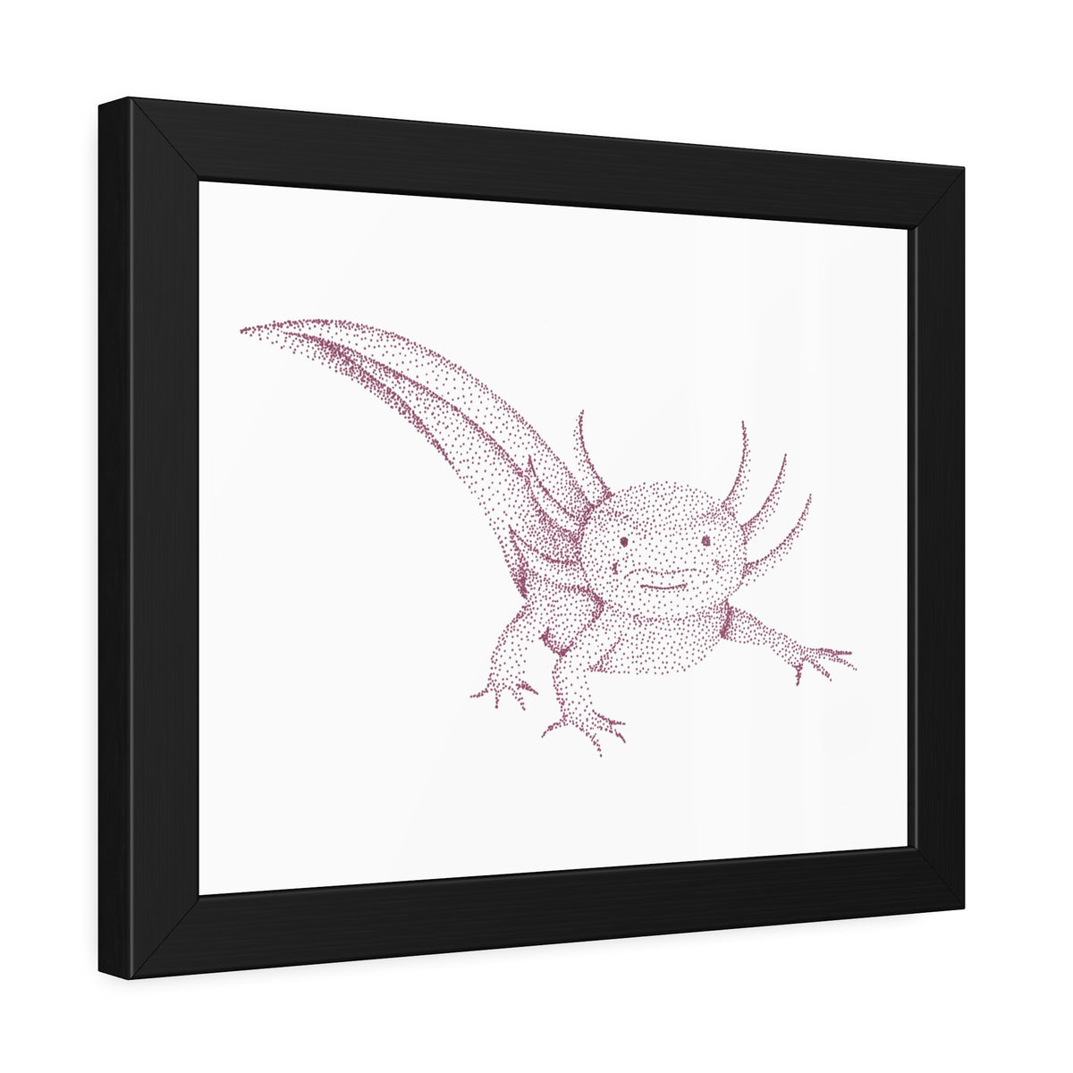 Framed Paper Posters - Axolotl